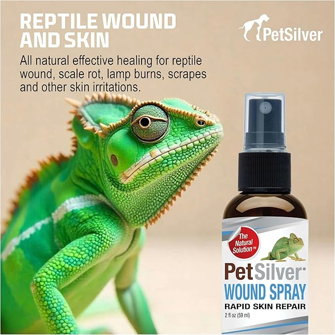 PetSilver Reptile Wound Spray with Chelated Silver – Reptile Wound Care for Snakes, Lizards, Geckos – Burns, Sores, Irritations & Scale Rot Treatment – Non-Toxic & Safe – Made in USA – 2 fl oz