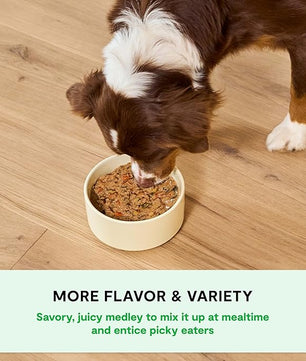Open Farm Rustic Stews Wet Dog Food, Grain-Free, Complete & Balanced with Human-Grade Ingredients, Humanely-Raised Meat & Bone Broth, Herring & Mackerel Recipe, 12.5oz Packs (Case of 12)