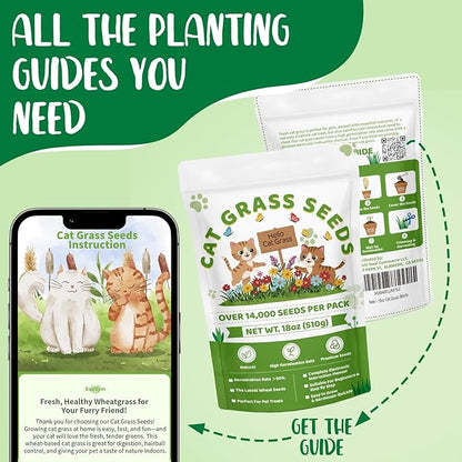 18oz Large Pack Cat Grass Seeds Bulk - Over 14000+ Premium Cat Grass for Indoor Cats & Pets, High Germination Rate & Easy to Grow, Non-GMO Wheat Grass Seed for Planting(510g)