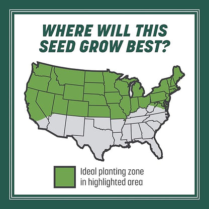 Pennington Smart Seed Sun and Shade Grass Mix 7 lb