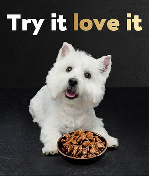 Cesar Filets in Gravy Wet Dog Food Filet Mignon Flavor, 1.76 oz. Mini-Pouch (20 Count, Pack of 1)