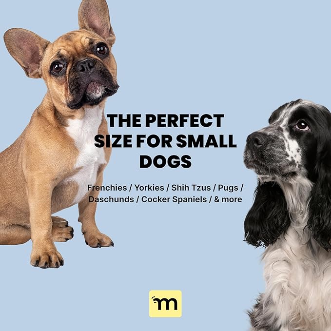 Malsipree 2-in-1 Portable Dog Water Bottle & Bowl for Small Dogs - Leak Proof & Insulating - Travel Water Dispenser - Stainless Steel Bottle & Silicone Bowl - Walking & Hiking (10 fl oz, Sage)