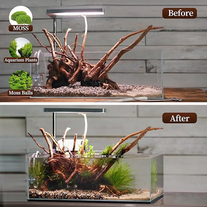 majoywoo Natural Large Driftwood for Aquarium Decor Reptile Decor, Assorted Spider Wood Branch 11-14" 2 Pcs, Fish Tank Decoration