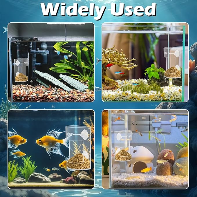 Round Fish Tank Feed Tray with Scale and Suction Cup, Feeding Tube Supplies, Tank Divider Supplies, Breeder Box for Aquarium, Round Aquariums & Fish Bowls Accessories