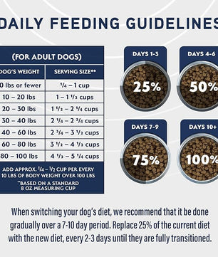 Natural Balance Specialized Nutrition Dry Dog Food with Lamb and Oatmeal for Dogs, Digestive & Immune Health Food, Natural Ingredients with Added Vitamins & Minerals - 3.5 lbs