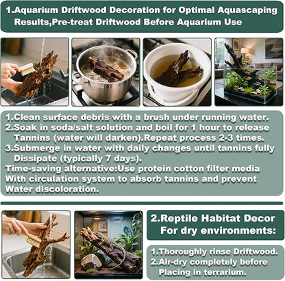 2 PCS Natural Driftwood for Aquarium Fish Tank Decor,Assorted Driftwood Branch for Reptile Decor (ZYM-S(8-12 Inch)-2 PCS)