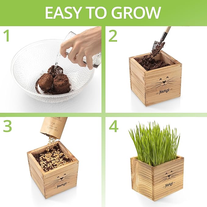 Cat Grass Kit for Indoor Cats – x2 Seed Packets | Cat Grass Seeds with Wooden Planter & Soil – Pet-Safe Wheatgrass Grass