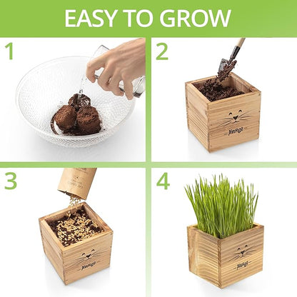 Cat Grass Kit for Indoor Cats – x2 Seed Packets | Cat Grass Seeds with Wooden Planter & Soil – Pet-Safe Wheatgrass Grass