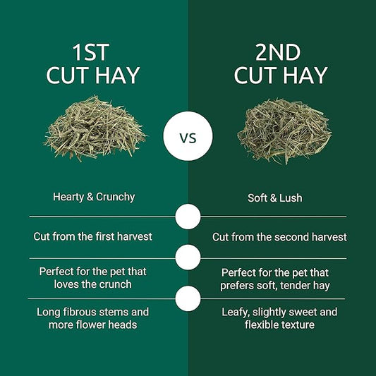 Kaytee 2nd Cut Soft and Lush Timothy Hay for Pet Guinea Pigs, Rabbits & Other Small Animals, 6.5 Pound