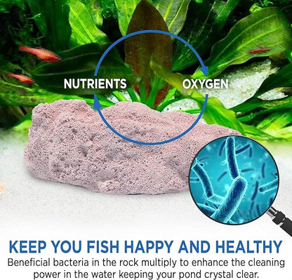 Fish Tank Rocks for Enhancing Water Clarity with Your Regular Cleaning Routine, Fish Friendly Aquarium Rocks, All Natural Aquarium Decor - Large - Covers Upto 3500 Gallons