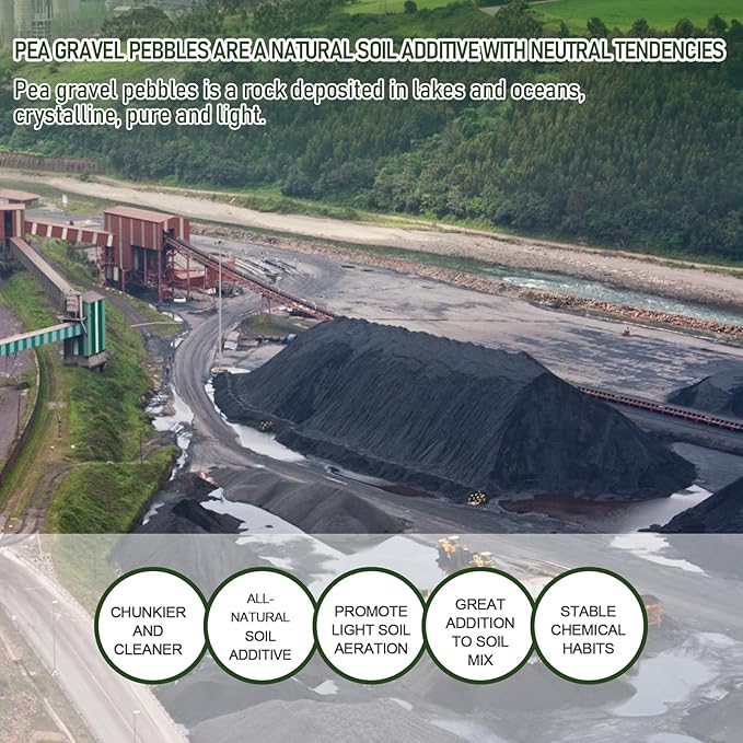 2 LBS Black Pea Gravel, Natural Succulent and Cactus Gravel Pebbles, Pebbles for Indoor Plants, Natural Gardens Mulching, for Houseplants, for Aquarium Gravel, to Maintain Soil Aeration(4-6mm)