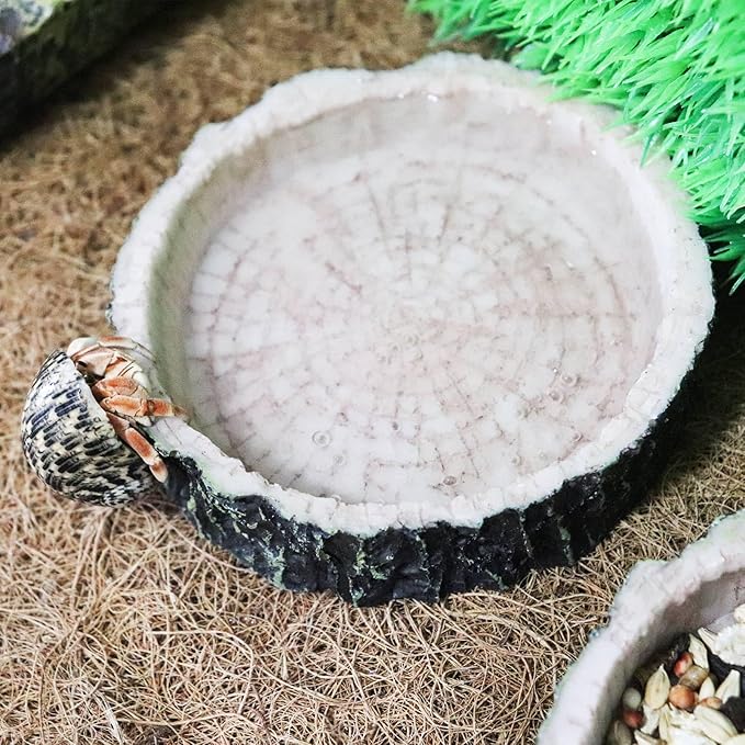 3 Pack Reptile Water Dish Food Bowls, Hermit Crab Food Dish with Feeding Tongs, Bearded Dragon Water Bowl, Suitable for Hermit Crab Lizard Gecko Tortoise Turtle Frog Leopard Crested Gecko