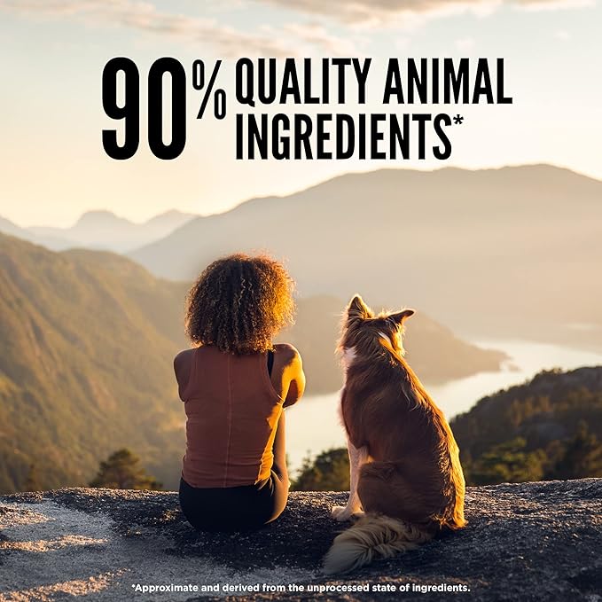 ORIJEN Grain Free High Protein Freeze Dried Dog Food & Topper Original Recipe 6oz Bag