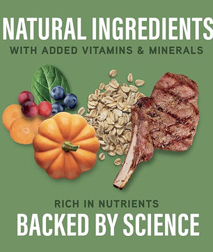 Natural Balance Specialized Nutrition Dry Dog Food with Lamb and Oatmeal for Dogs, Digestive & Immune Health Food, Natural Ingredients with Added Vitamins & Minerals - 3.5 lbs