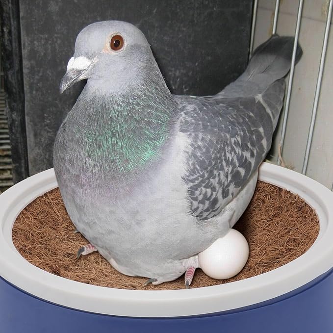 2 Sets Pigeon Nest Egg Nest Pigeon Breeding Nest Dove Mat Pigeon Nest Supply Birds Cages Parakeet Bird Cage White Plastic Eggs Bird Nest Hut Bird Liner Egg Bowl Homing Pigeon Coir