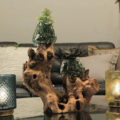 Molten Glass On Root Wood Double Decorative Bowl Vase Plant Terrarium - Boho Style for Tabletops