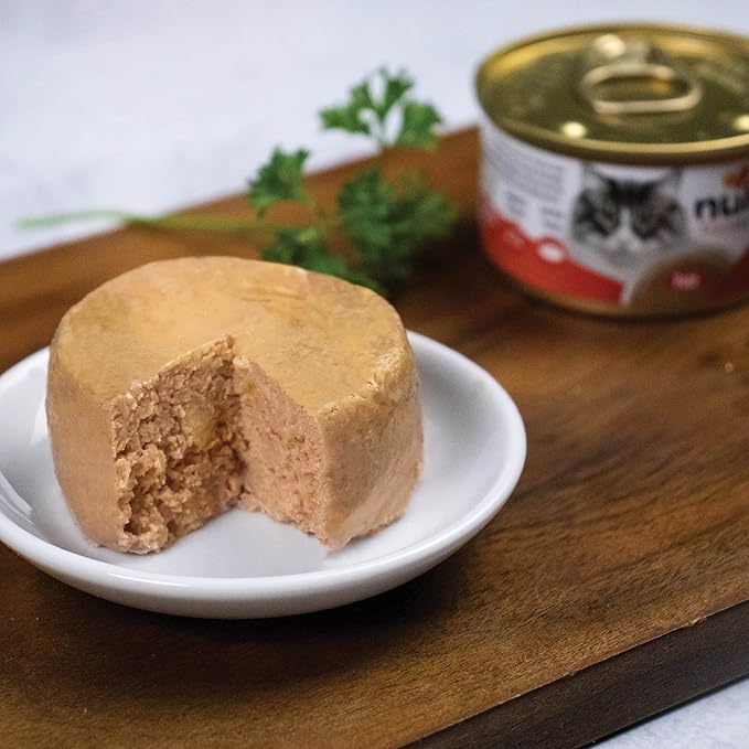 Nulo Freestyle Cat & Kitten Wet Pate Canned Cat Food, Premium All Natural Grain-Free, with 5 High Animal-Based Proteins and Vitamins to Support a Healthy Immune System and Lifestyle