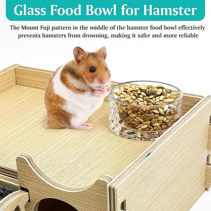 BNOSDM 2Pcs Hamster Food and Water Bowl Mountain Fuji Style Glass Drinking Dwarf Hamster Feeder Anti-Turning Dish for Syrian Hamsters Gerbils Mice Rats or Other Similar-Sized Pets (Transparent)