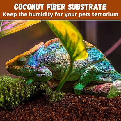 Legigo 6 Pack Compressed Coconut Fiber Substrate - 100% Organic Coconut Fiber Brick Bedding for Reptiles, Natural Coco Husk Substrate Terrarium Bedding for Snake, Hermit Crabs, Frogs, Tortoise, Gecko