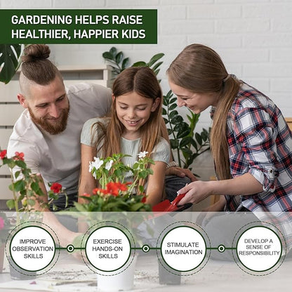 2 LBS Green Pea Gravel, Natural Succulent and Cactus Gravel Pebbles, Pebbles for Indoor Plants, Natural Gardens Mulching, for Houseplants, for Aquarium Gravel, to Maintain Soil Aeration(4-6mm)