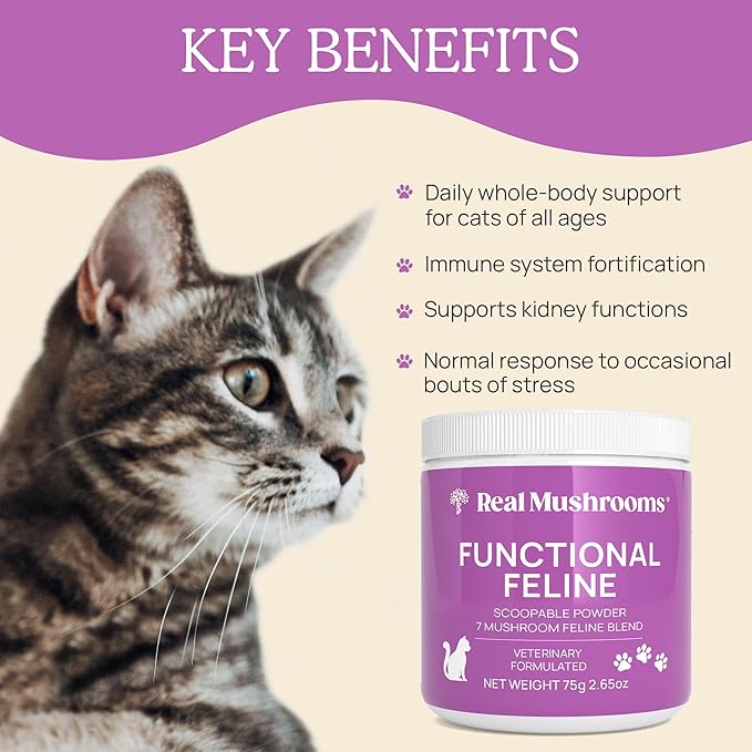 Real Mushrooms Cat Supplement Powder – Organic Mushroom Blend with Antarctic Krill & Ashwagandha – Cat Vitamins for Older Cats or Kittens – 2.65 oz Functional Feline Formula