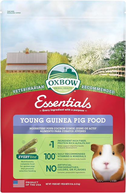 Oxbow Essentials Young Guinea Pig Food, Guinea Pig Pellets Made with Timothy Hay, Stabilized Vitamin C, Small Animal Pet Products, Small Animal Food Made in USA, High Fiber, 10 lb. Bag