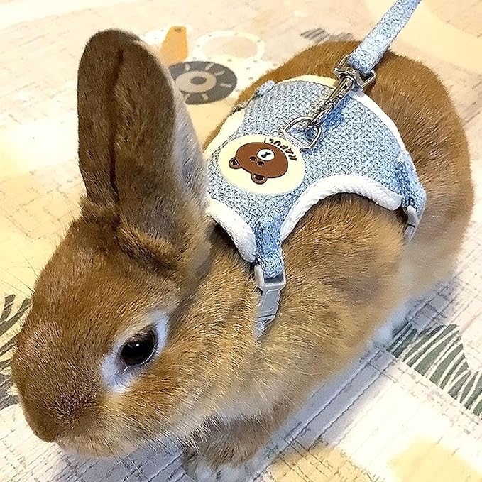 Rabbit Harness and Leash Set 2 Pieces Adjustable Bunny Harness Leash Ferret Harness Guinea Pig Harness Ferret Leash for Small Pets Walking Outdoor (Blue, Small)