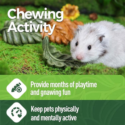 TEEWY Guinea Pig Toys, 6PCS Leaf Shaped Hamster Toys, Natural Guinea Pig Chew Toys for Teeth Grinding, Chinchilla Chew for Gerbil, Rat and Hamster