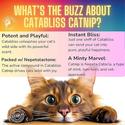Catnip for Cats – 1oz Jar - 100% Essential Natural Cat Nip Herb Resealable Jar - Fresh Aroma Stimulates Activity & Enhancing Play for Indoor Cats - Great for Cat Nip Toys, Play & Training