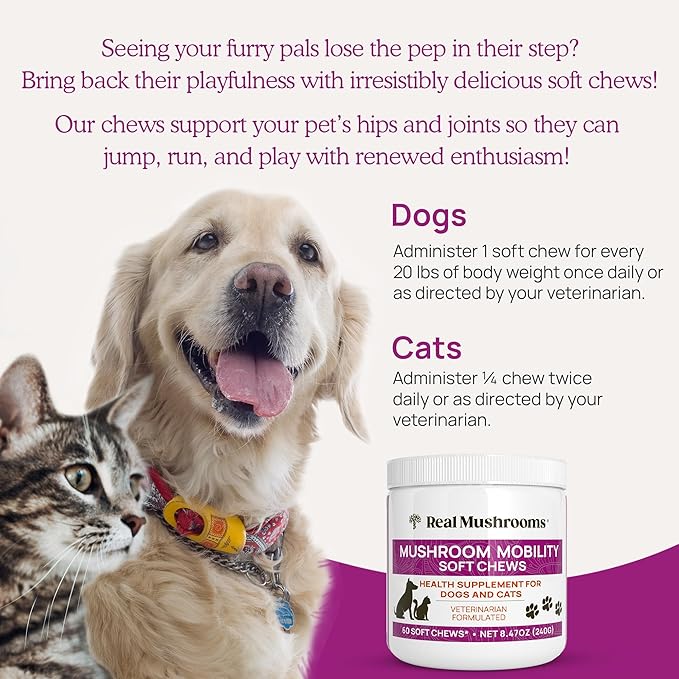 Real Mushrooms Mobility Chews for Dogs & Cats – Green Lipped Mussel & ErgoGold Mushroom Blend – Dogs & Cat Vitamins Treats for Active Routines – Joint, Hip & Flexibility Support – 240 ct Supplement
