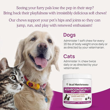 Real Mushrooms Mobility Chews for Dogs & Cats – Green Lipped Mussel & ErgoGold Mushroom Blend – Dogs & Cat Vitamins Treats for Active Routines – Joint, Hip & Flexibility Support – 240 ct Supplement