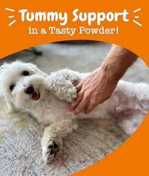 Zesty Paws Powder Probiotics for Dogs - Meal Topper for Digestive, Immune System Support - Premium DE111 Dog Probiotics for Digestive Health - Inulin Fiber & Yeast Extract - Pumpkin Flavor - 30 Ct