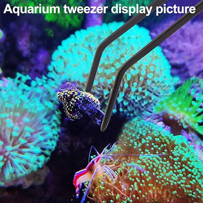 Coral Reef Grabber,Coral Feeder,Aquarium Veggie Feeder,Fish Tank Food Clip,Fish net(Reef Grabber and Coral Feeder Kits (Anti-Rust)