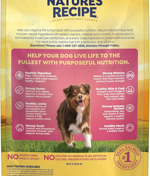 Nature′s Recipe Grain Free Salmon, Sweet Potato & Pumpkin Recipe Dry Dog Food, 4 lb. Bag (Pack of 2)