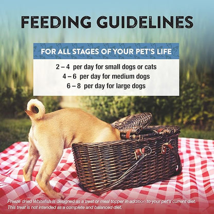 Northwest Naturals Raw Rewards Freeze-Dried Whitefish Treats for Dogs and Cats - Bite-Sized Pieces - Healthy, 1 Ingredient, Human Grade Pet Food, All Natural, Proudly Made in USA, 2.5 Oz (Pack of 3)