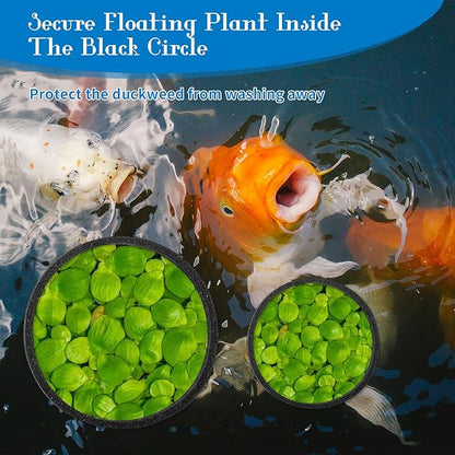 5Pcs Fish Feeding Ring, 5 Sizes Aquarium Feeding Ring for Fish Tank, Round EVA Floating Plant Corral/Aquarium Fish Feeder Ring Filter Out Floating Plants Accessories (Black)