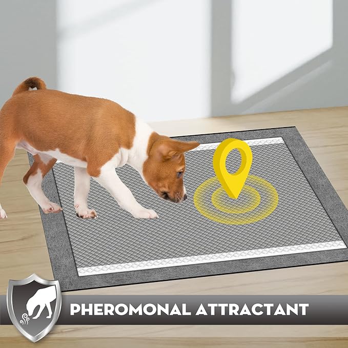 CROCI 28"x44" 4XL Activated Carbon Pee Pads for Dogs, Odor-Control Charcoal Dog Pads Absorbs Up to 12 Cups of Liquid, 6-Layer Thicker Leak-Proof & Quick Dry Dog Training Pads, Disposable (25 Counts)