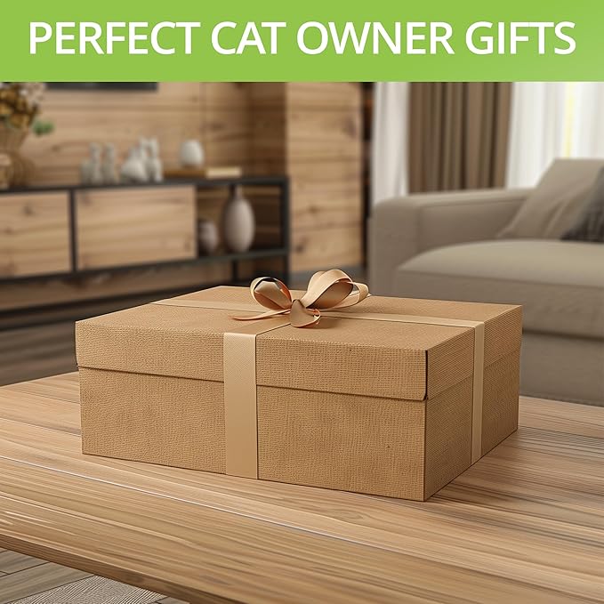 Cat Grass Kit for Indoor Cats – x2 Seed Packets | Cat Grass Seeds with Wooden Planter & Soil – Pet-Safe Wheatgrass Grass