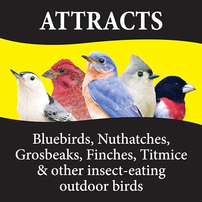 Wild Delight 099127 Bugs N' Berries Wild Bird Food, 4.5 lb (Pack of 6)