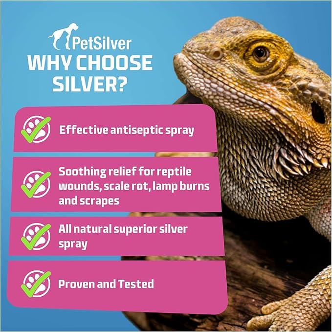 PetSilver Reptile Wound Spray with Chelated Silver – Reptile Wound Care for Snakes, Lizards, Geckos – Burns, Sores, Irritations & Scale Rot Treatment – Non-Toxic & Safe – Made in USA – 2 fl oz