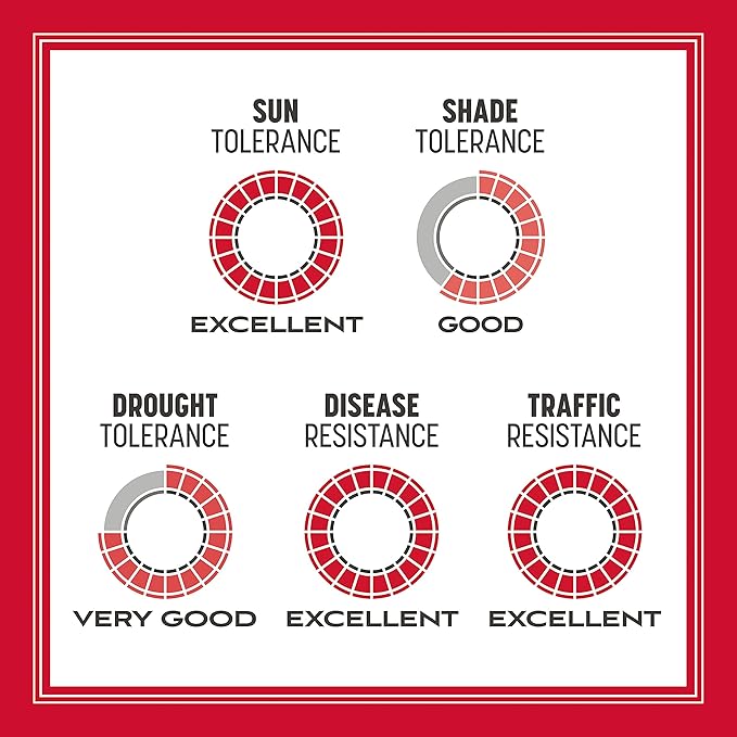 Pennington The Rebels Tall Fescue Grass Seed Mix 3 lb