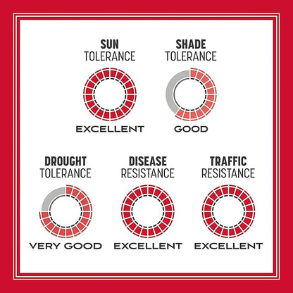 Pennington The Rebels Tall Fescue Grass Seed Mix 3 lb