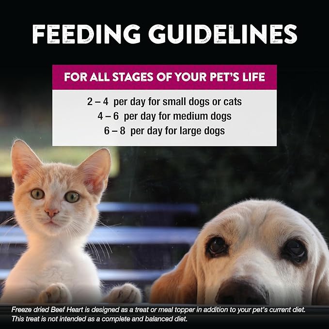 Northwest Naturals Raw Rewards Freeze-Dried Beef Heart Treats for Dogs and Cats - Bite-Sized Pieces - Healthy, 1 Ingredient, Human Grade Pet Food, All Natural, Proudly Made in USA, 10 Oz