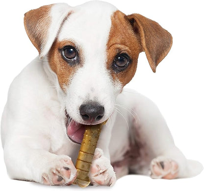 Nylabone Healthy Edibles Natural Dog Chews Long Lasting Turkey & Apple Flavor Treats for Dogs, Small/Regular (4 Count)