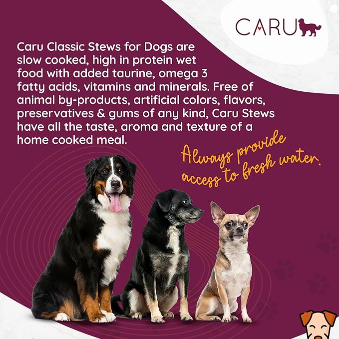 Caru - Classics Turkey Stew for Dogs - Healthy Wet Dog Food or Food Topper - Balanced Omega Blend - 12.5 oz Cartons - Pack of 4