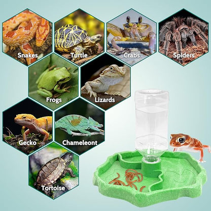 Tfwadmx 9oz Reptile Water Bottle Turtle Automatic Feeders Waterer Food and Water Bowl pet Dispenser Bottle Feeding Dish for Lizard Chameleon(Luminous)