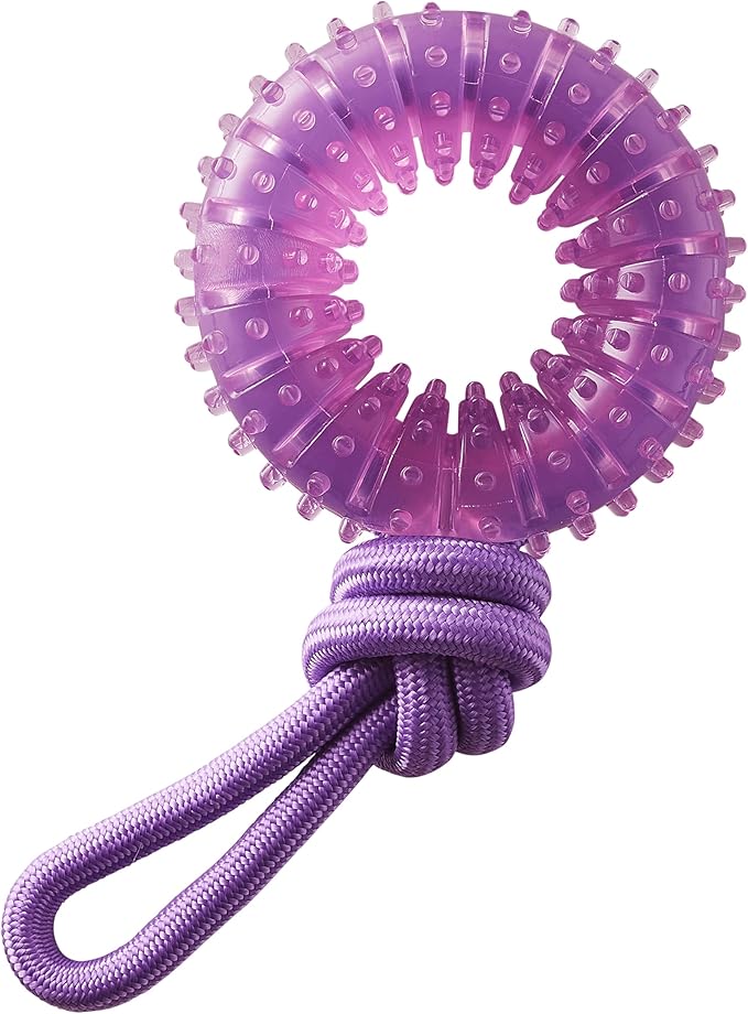 Outward Hound 2-in-1 Dental Dog Chew Wheel Ring & Rope Tug Toy for Teething Puppies & Dogs, Mint-Scented & Teeth-Cleaning, 9-Inch, Purple