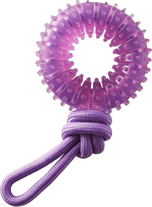 Outward Hound 2-in-1 Dental Dog Chew Wheel Ring & Rope Tug Toy for Teething Puppies & Dogs, Mint-Scented & Teeth-Cleaning, 9-Inch, Purple