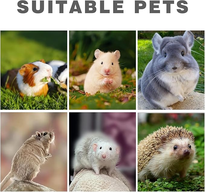 2 Pack Rat Feeding Accessories for Cage, Stainless Steel Fruit Fork and Spiral Vegetable Holder, Cage Accessories for Mouse, Hamster, Chinchilla, Rabbit and Other Small Animals