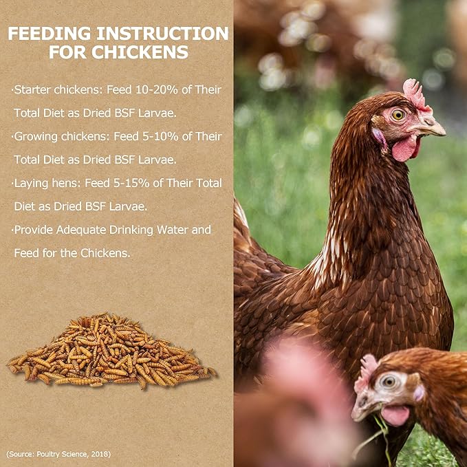 Premium Dried Black Soldier Fly Larvae for Chickens - 5LB High Calcium Supplement, Molting and Laying Support, Non-GMO & High-Protein Treats, Food for Wild Birds, Ducks, Reptile | Top Grade